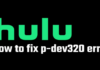 How to: Fix the Hulu Error Code P-DEV320 in just a few Simple Steps