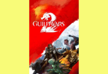 Fix Guild Wars 2 issues in Windows 10 with our easy steps