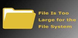 File Is Too Large for the Destination File System? Try This