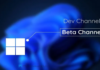 How to Switch From the Dev Channel to the Beta Channel