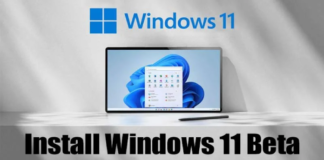 How to Download and Install Windows 11 Beta