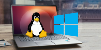 How to Dual Boot Windows 11 and Linux