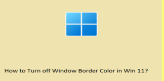 How to Turn Off Window Border Color on Your Windows 11 Device