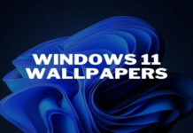 How to Download the Latest Windows 11 Wallpaper