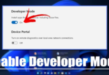 How to Enable Developer Mode in Windows 11
