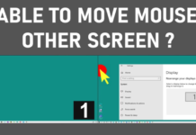 Is your mouse not going to a second screen?