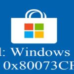 8 Easy Ways to Fix Error Code 0x80073cf9 in Windows 11